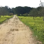 Casa Do Pinheiro - Parque Natural Da Ria Formosa. Holiday home *