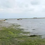 Casa Do Pinheiro - Parque Natural Da Ria Formosa. *
