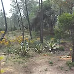 Casa Do Pinheiro - Parque Natural Da Ria Formosa. Holiday home