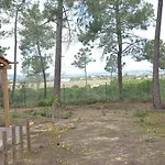 Casa Do Pinheiro - Parque Natural Da Ria Formosa.
