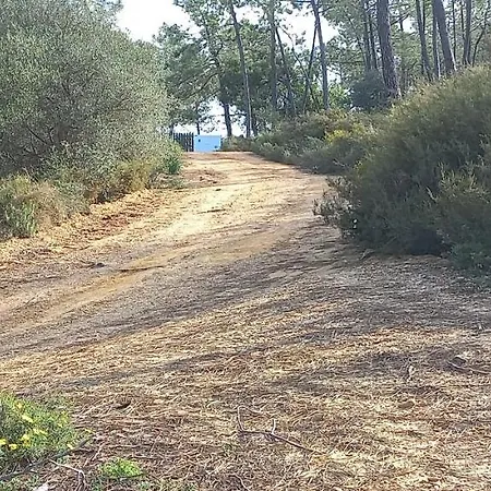 בית נופש Casa Do Pinheiro - Parque Natural Da Ria Formosa. *