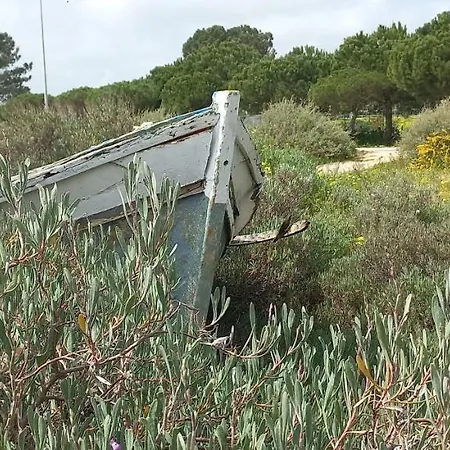 Casa Do Pinheiro - Parque Natural Da Ria Formosa.