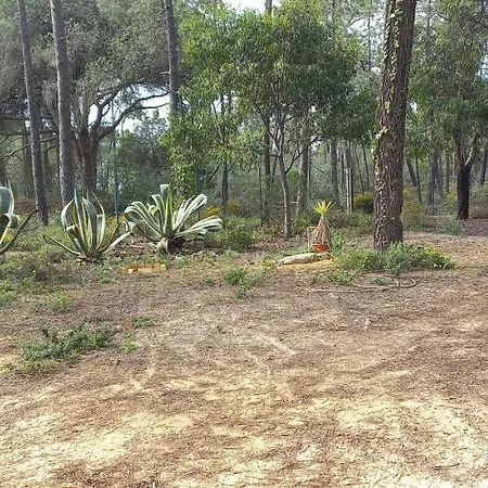 Casa Do Pinheiro - Parque Natural Da Ria Formosa. * טאווירה