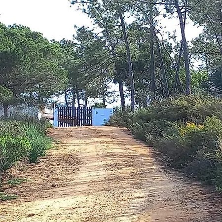 בית נופש Casa Do Pinheiro - Parque Natural Da Ria Formosa. *