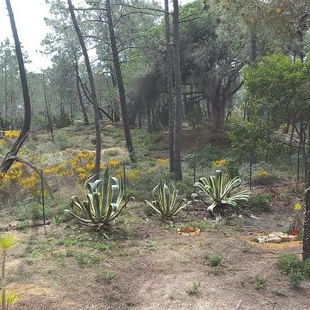 Casa Do Pinheiro - Parque Natural Da Ria Formosa. בית נופש