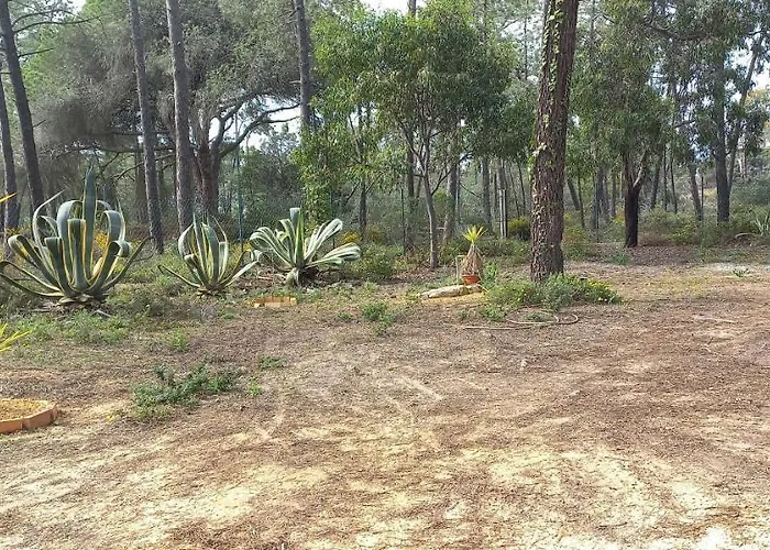 Casa Do Pinheiro - Parque Natural Da Ria Formosa. * Тавира