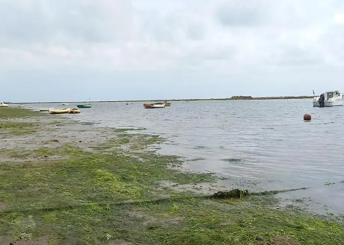 Casa Do Pinheiro - Parque Natural Da Ria Formosa. *