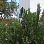 Ferienhaus Casa Do Pinheiro - Parque Natural Da Ria Formosa. *