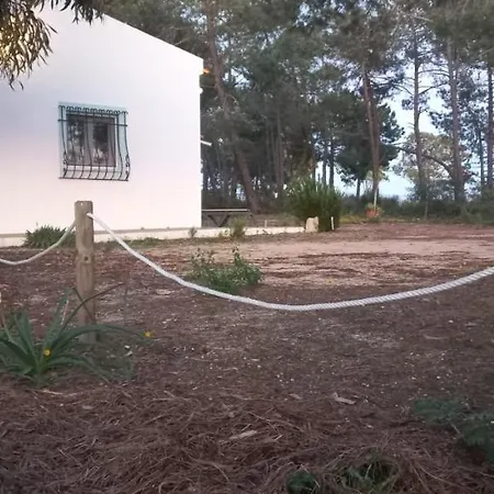 Casa Do Pinheiro - Parque Natural Da Ria Formosa. 펜션 *
