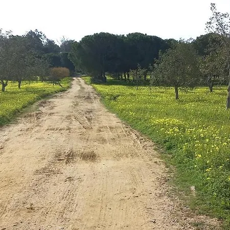 Casa Do Pinheiro - Parque Natural Da Ria Formosa. Сasa de vacaciones *