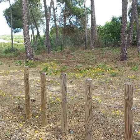 Casa Do Pinheiro - Parque Natural Da Ria Formosa. *