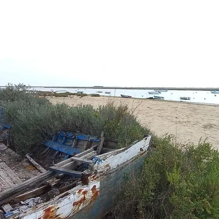 Casa Do Pinheiro - Parque Natural Da Ria Formosa. 펜션 *