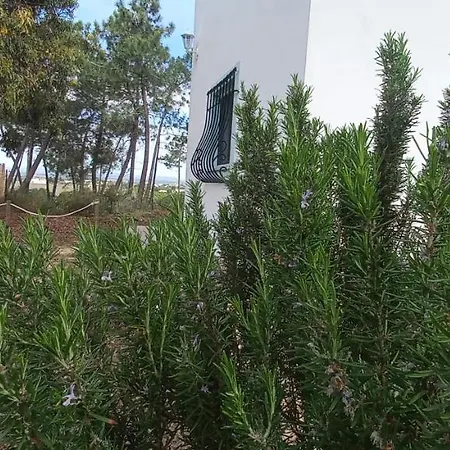 Сasa de vacaciones Casa Do Pinheiro - Parque Natural Da Ria Formosa. *