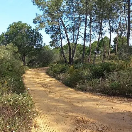 Casa Do Pinheiro - Parque Natural Da Ria Formosa. Сasa de vacaciones