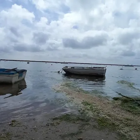 Casa Do Pinheiro - Parque Natural Da Ria Formosa. 펜션 *