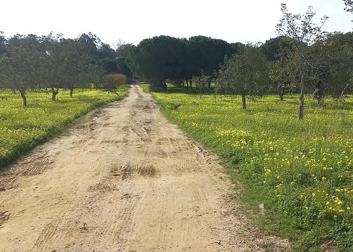 Casa Do Pinheiro - Parque Natural Da Ria Formosa. Tatil Evi *