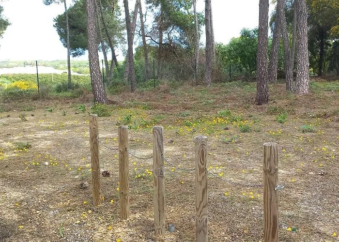 Casa Do Pinheiro - Parque Natural Da Ria Formosa. *