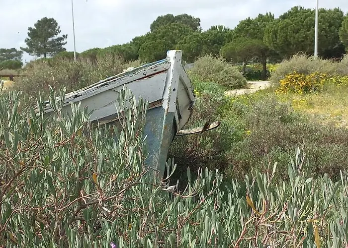 Casa Do Pinheiro - Parque Natural Da Ria Formosa.