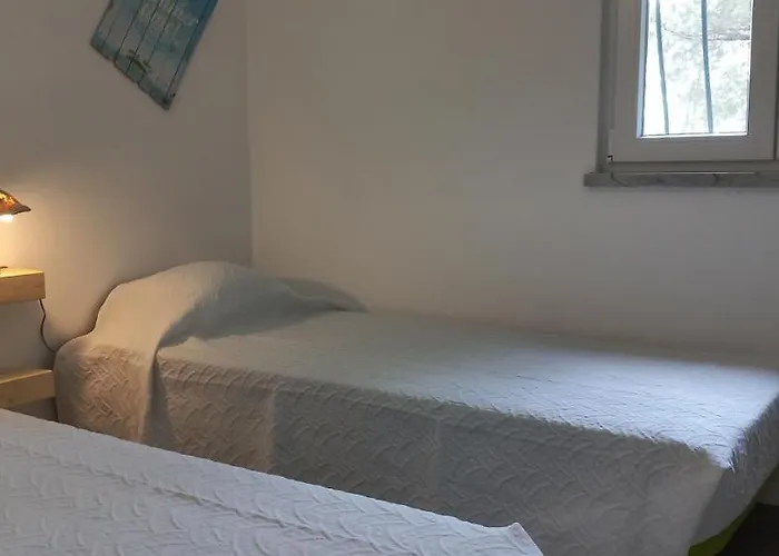 Tatil Evi Casa Do Pinheiro - Parque Natural Da Ria Formosa.