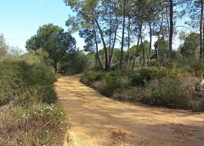 Casa Do Pinheiro - Parque Natural Da Ria Formosa. Tatil Evi