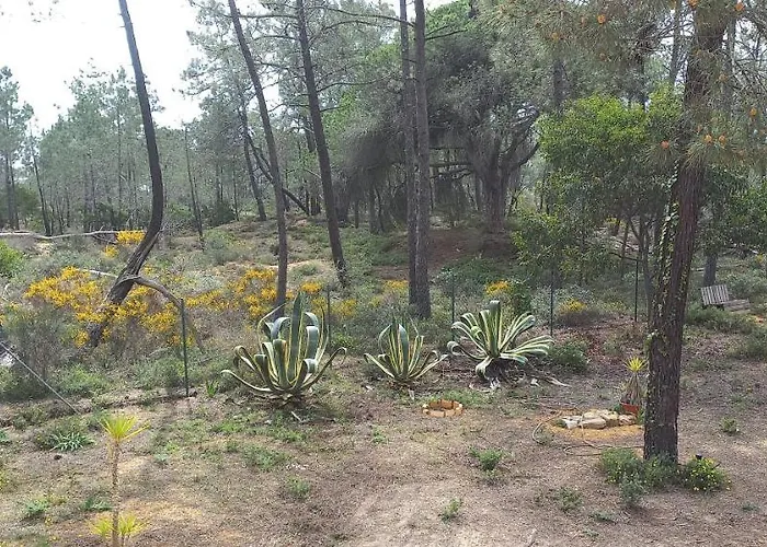 Casa Do Pinheiro - Parque Natural Da Ria Formosa. Tatil Evi