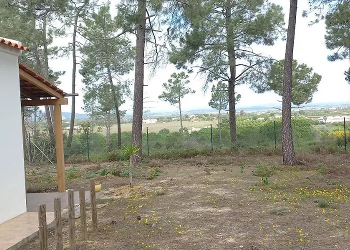 Casa Do Pinheiro - Parque Natural Da Ria Formosa.