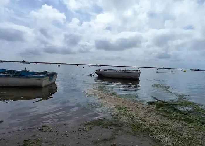 Casa Do Pinheiro - Parque Natural Da Ria Formosa. Tatil Evi *