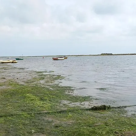 Casa Do Pinheiro - Parque Natural Da Ria Formosa. *