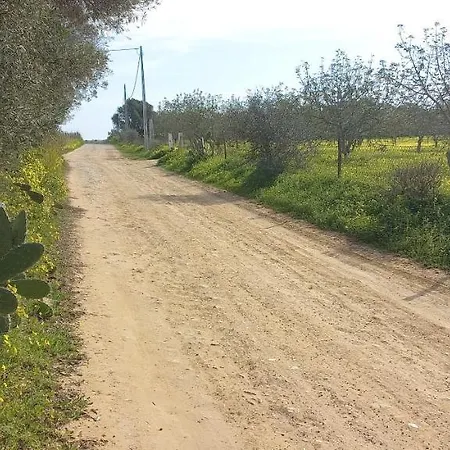 Casa Do Pinheiro - Parque Natural Da Ria Formosa. Ταβίρα