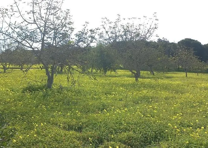 Casa Do Pinheiro - Parque Natural Da Ria Formosa. * 塔维拉