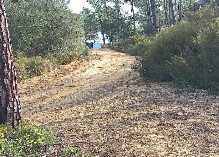 度假居 Casa Do Pinheiro - Parque Natural Da Ria Formosa. *