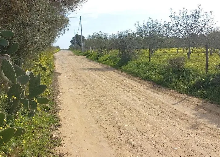 Casa Do Pinheiro - Parque Natural Da Ria Formosa. 塔维拉