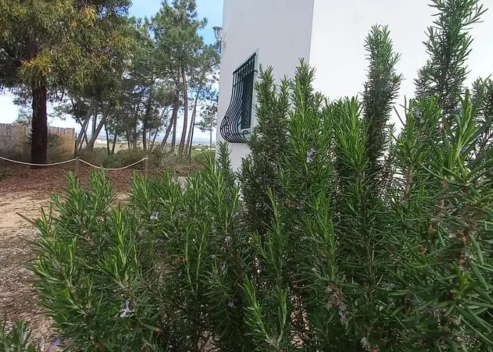 度假居 Casa Do Pinheiro - Parque Natural Da Ria Formosa. *